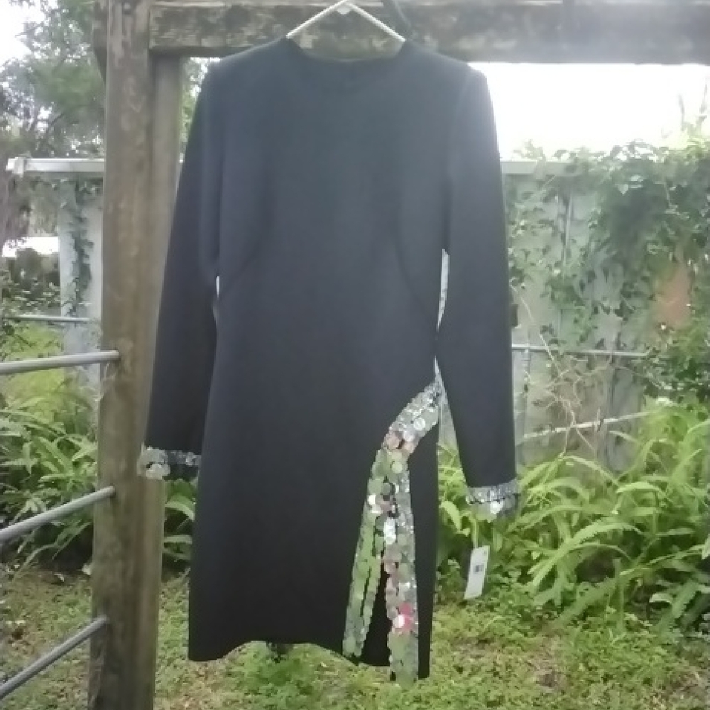 Tadashi Shoji Black Dress with Sequin Details